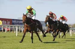2010 05 03 RTB winning at Down Royal.JPG