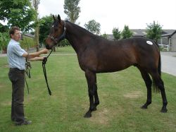 2010 06 25 New recruit1.JPG