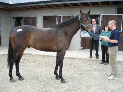 2010 06 26 New recruit in Colms yard1.JPG