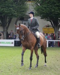 Brave Inca RDS 2011